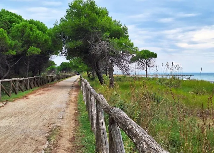 Apartman Flat A Few Steps From The Sea